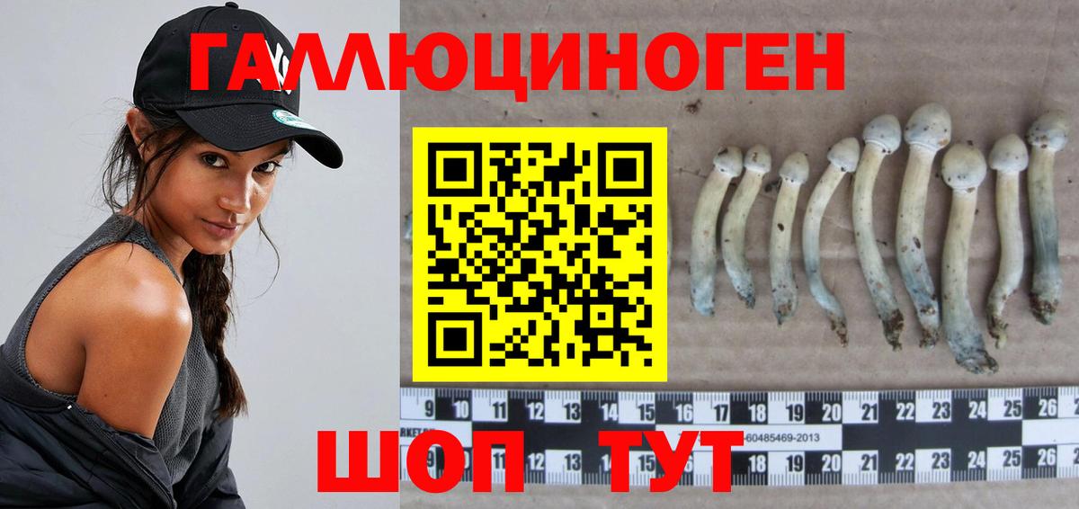 Псилоцибиновые грибы Psilocybe  Вход с VPN  Котовск 