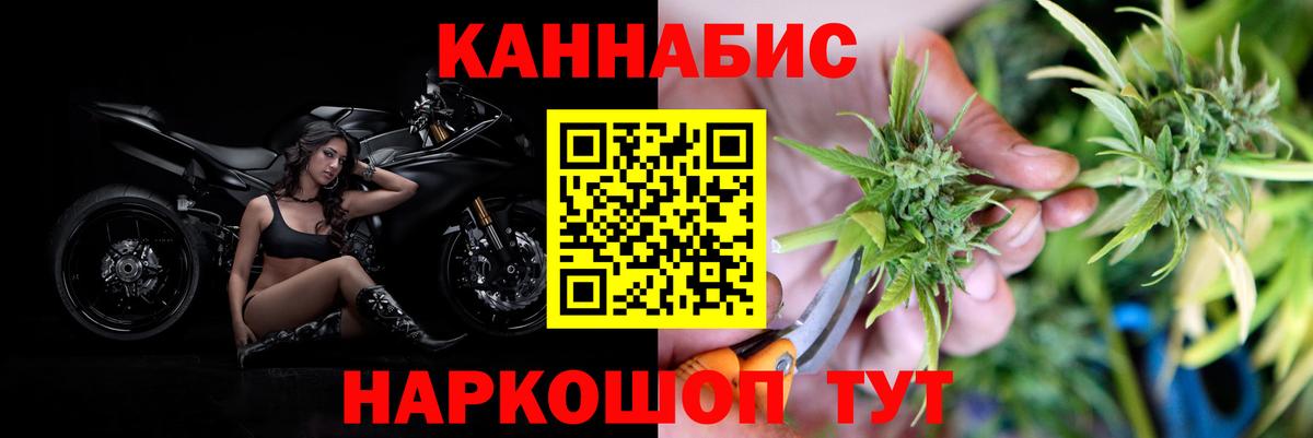 Шишки марихуана план  Канабис MAZAR  Марихуана White Widow  Котовск  Вход с VPN 